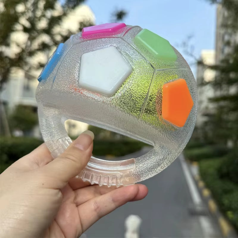 Football Tennis Dog Toy