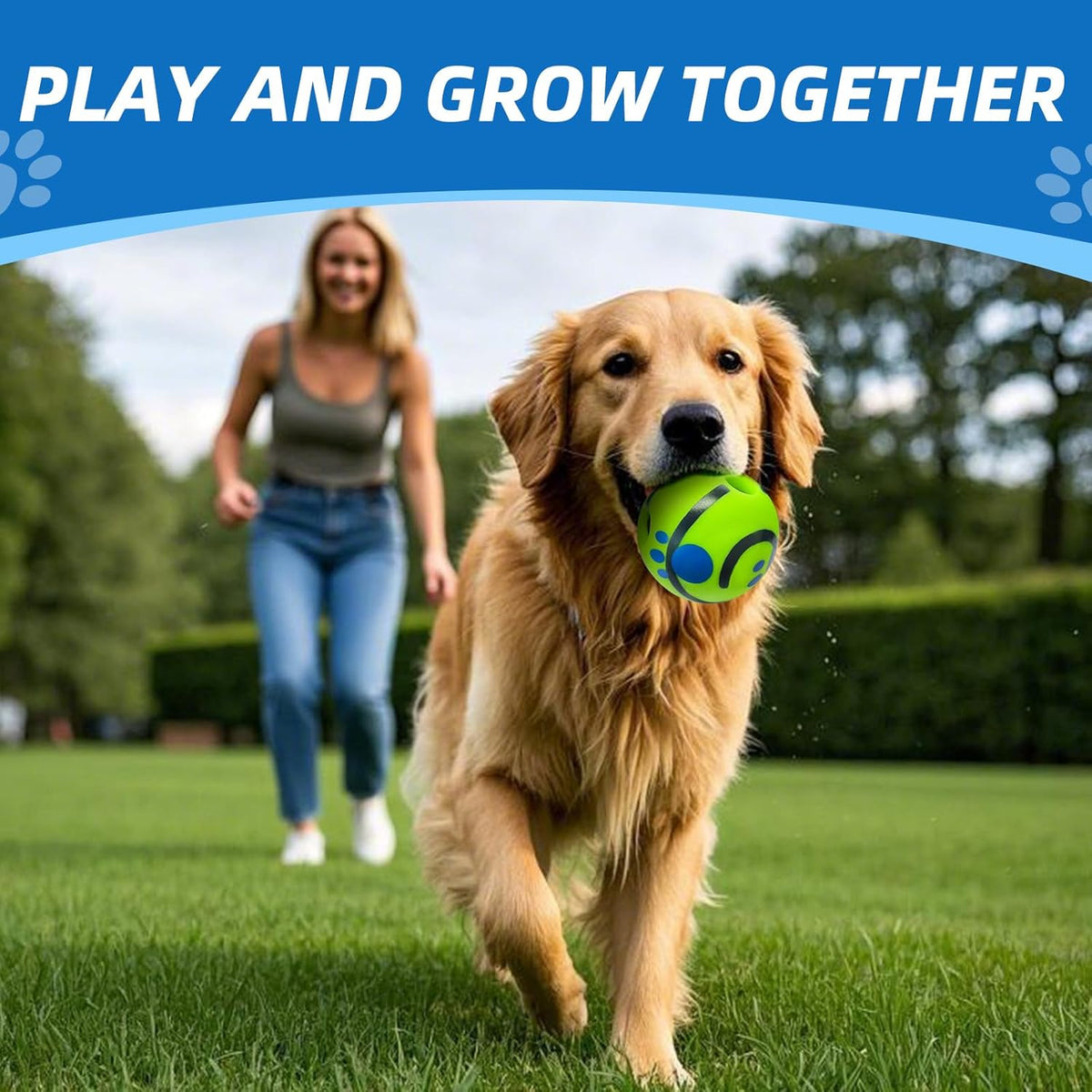 Interactive Dog Training Ball