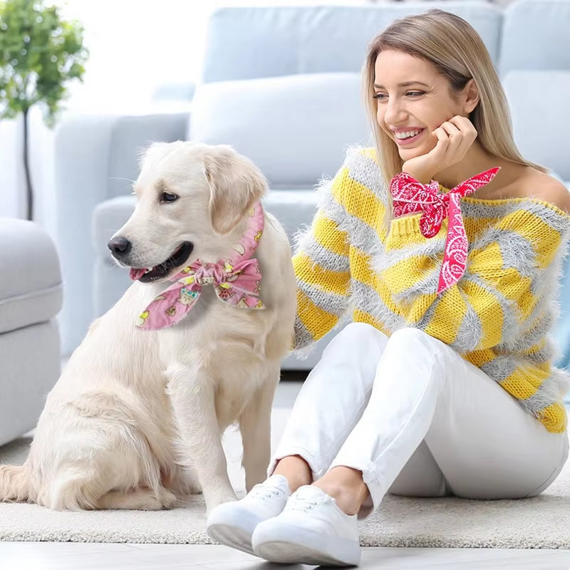 ChillPup Ice Bandana – The Coolest Summer Style for Your Hot Dog